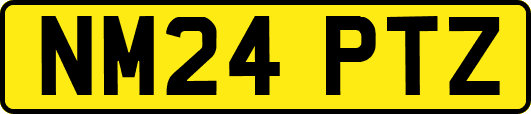 NM24PTZ