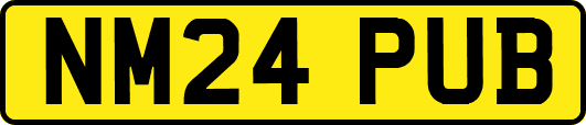 NM24PUB