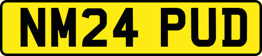 NM24PUD