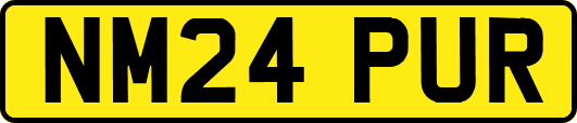 NM24PUR