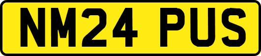 NM24PUS