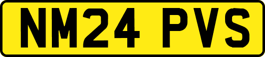 NM24PVS