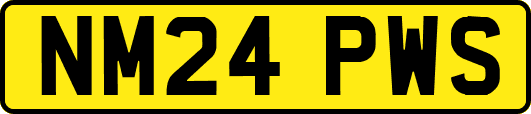 NM24PWS