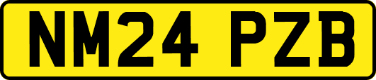 NM24PZB