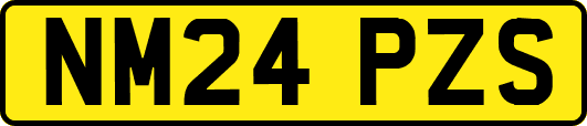 NM24PZS
