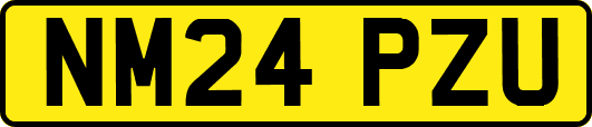 NM24PZU