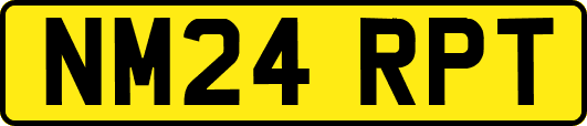 NM24RPT