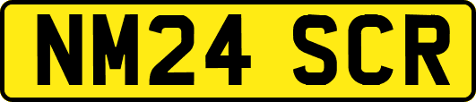 NM24SCR