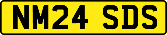 NM24SDS