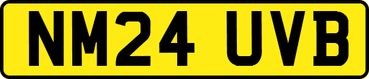 NM24UVB