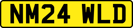NM24WLD