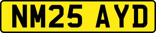 NM25AYD