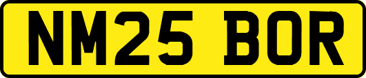 NM25BOR