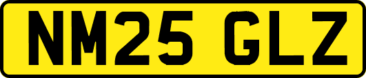 NM25GLZ