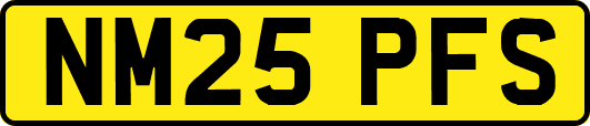 NM25PFS