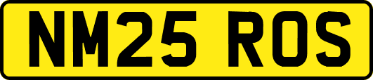 NM25ROS