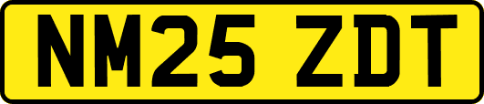 NM25ZDT