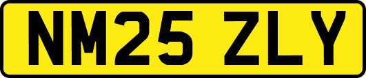 NM25ZLY