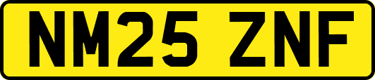 NM25ZNF
