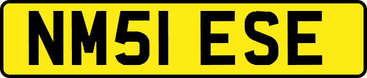 NM51ESE
