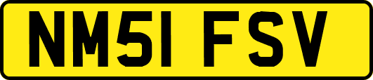 NM51FSV