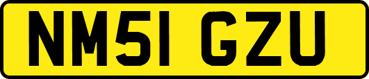 NM51GZU