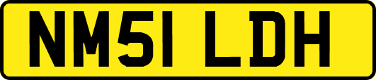 NM51LDH