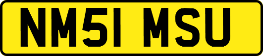 NM51MSU
