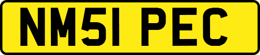 NM51PEC