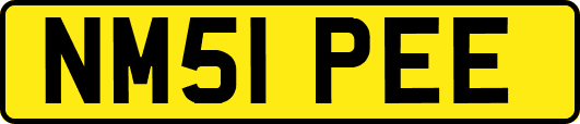 NM51PEE