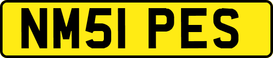 NM51PES