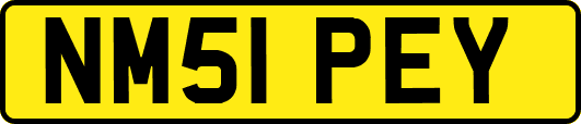 NM51PEY