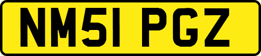 NM51PGZ