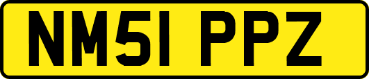 NM51PPZ