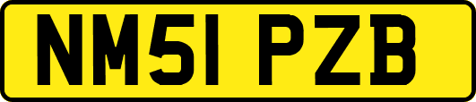 NM51PZB