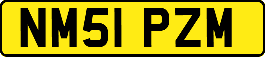 NM51PZM