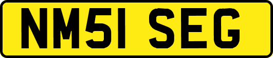 NM51SEG