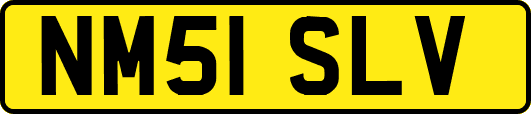 NM51SLV