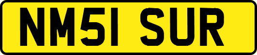 NM51SUR