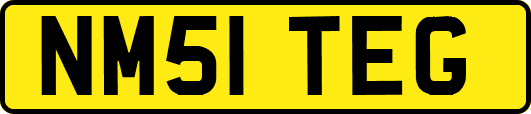 NM51TEG