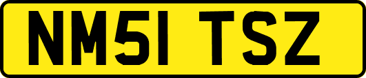 NM51TSZ