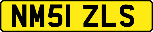 NM51ZLS