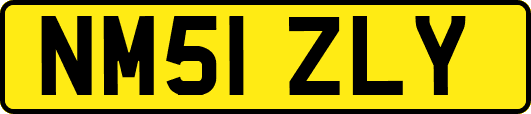 NM51ZLY