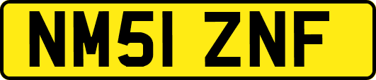 NM51ZNF