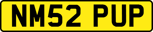 NM52PUP