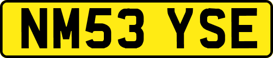 NM53YSE