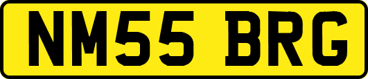 NM55BRG