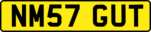 NM57GUT