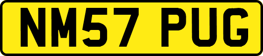 NM57PUG