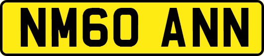 NM60ANN
